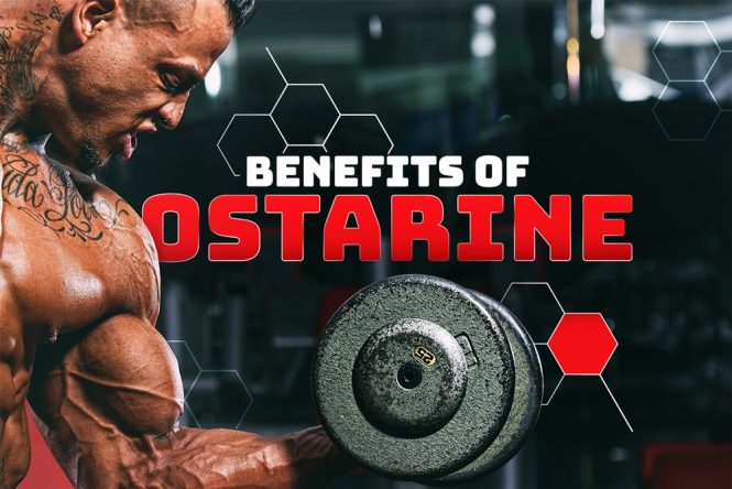 Benefits of Ostarine (Mk-2866)