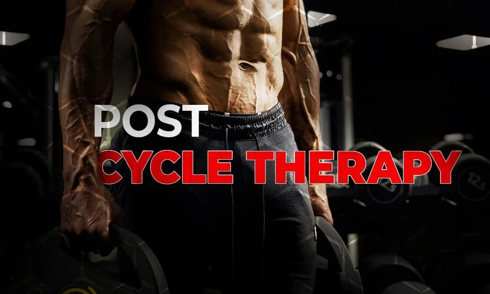 Sarms and Post-cycle Therapy: Best Practices