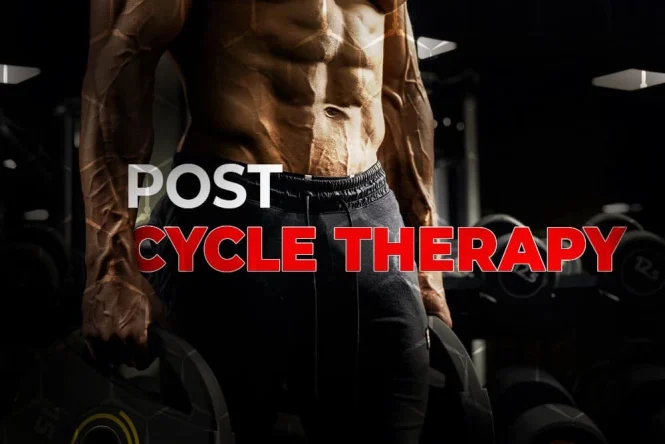 Sarms and Post-cycle Therapy: Best Practices