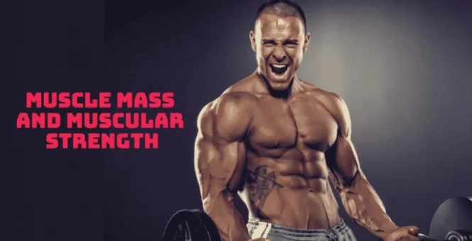 Why Testolone (Rad-140) is the Product for You