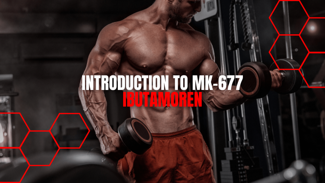 Benefits of Mk677 for Improved Health & Performance