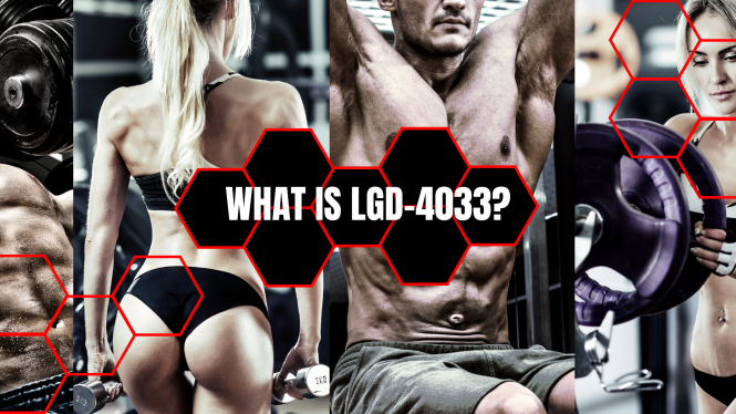 Unlocking the Benefits of Ligandrol (Lgd-4033)