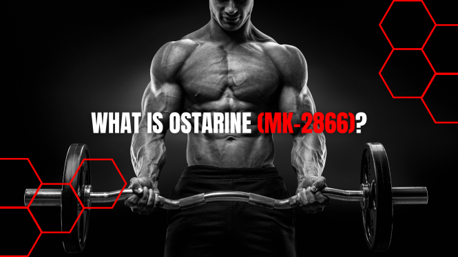 What Ostarine (Mk-2866) Can Do for You