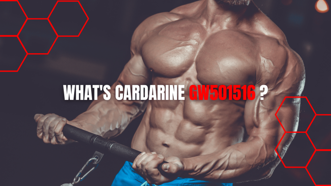 What Can Cardarine (Gw-501516) Do for You?