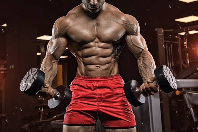 The Sarms Canada #1 Online Seller
