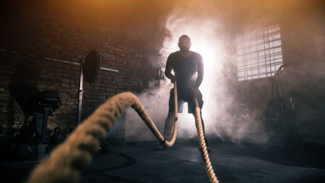 The Ultimate Guide to Bone Health